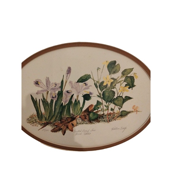 Kathleen Wolfe Crested Dwarf Iris Lithograph 28/350 Signed 10" X 13" - Picture 6 of 8